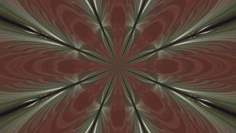 Rays of red and white shades with floral motifs Stock Footage 202086122