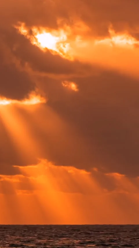 Rays of the rising sun Stock Footage 293156791