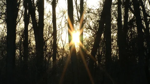Rays of the setting sun in early spring Vídeo Stock 128549427