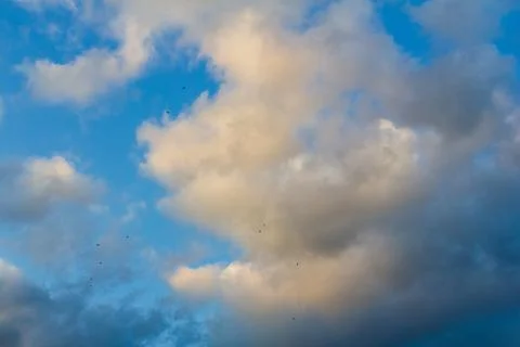 The rays of the setting sun glide over a dark overcast cloud. Overcast weathe Photos