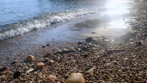 Rays of the setting sun light on beach Stock Footage 166682425