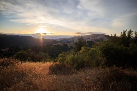 Rays from setting sun light up dry golden grass in the Marin Headlands Fotos Stock