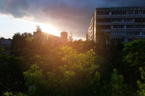 The rays of the setting sun play on green foliage against the backdrop of cit Stock Photos