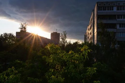 The rays of the setting sun play on green foliage against the backdrop of cit Stock Photos