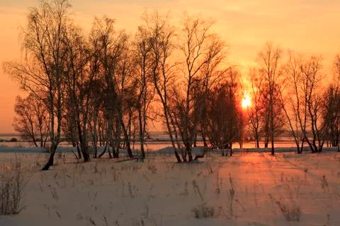 Rays setting sun streaming through branches of trees in winter Fotos Stock