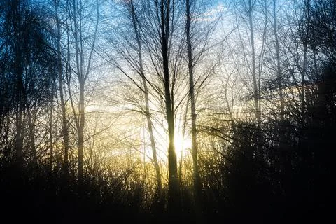 The rays of the setting sun in winter break Stock Photos