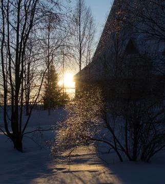 Rays of the setting winter sun through the branches Stock Photos