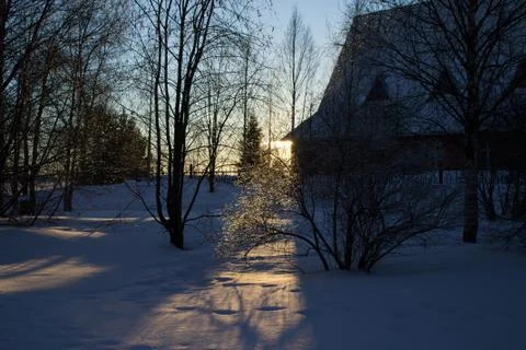 Rays of the setting winter sun through the branches Stock Photos