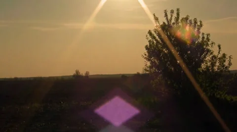 Rays of a sun above the field Stock Footage 37535864