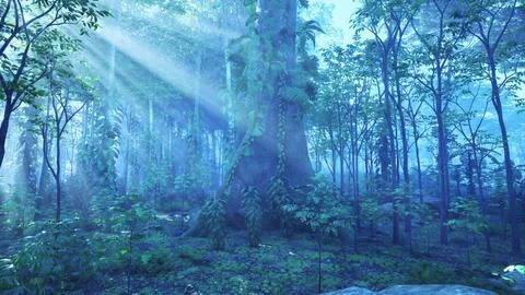Rays of the sun break through the green forest foliage Ilustração Stock