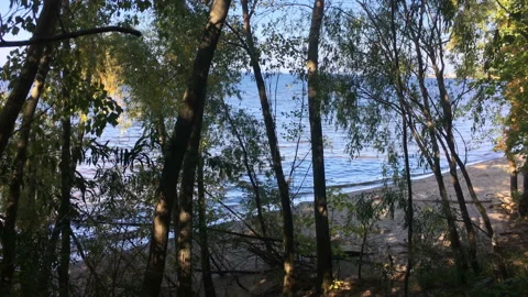 The rays of the sun break through the trees on the banks of the river. Deserted Video stock 115796081