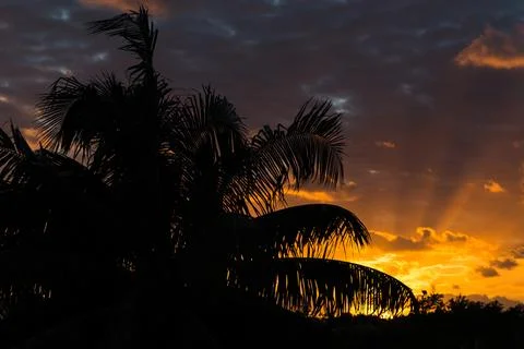 Rays of sun on a Cuban beach Stock Photos