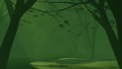 The rays of the sun during sunrise in the mysterious green misty forest Stock Footage 158719613