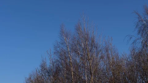 The rays of the sun fall on the church Stock Footage 128635592