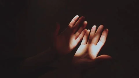 The rays of the sun fall on the palms Stock Footage 299395069