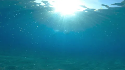Rays of the sun filter into the ocean water Stock Footage 246496338