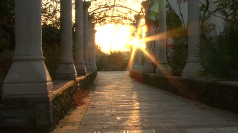 Rays of sun in flower Pergale. 스톡 동영상 51330984