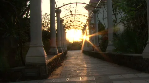 Rays of sun in flower Pergale. Stock Footage 51331122