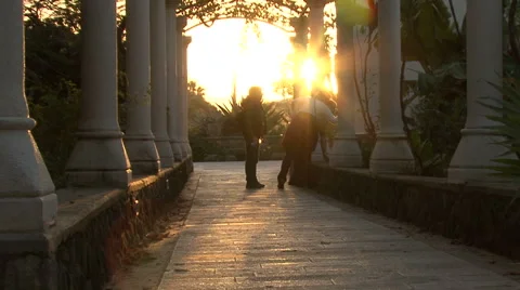 Rays of sun in flower Pergale. Stock Footage 51331180