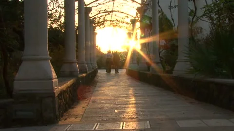 Rays of sun in flower Pergale. Stock Footage 51331310