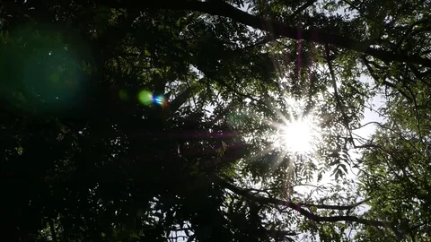 Rays of the sun Stock Footage