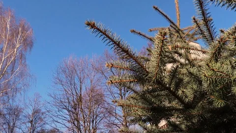 Rays of the sun Stock Footage 128625627