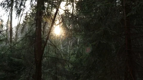 The rays of the sun Stock Footage 129109745