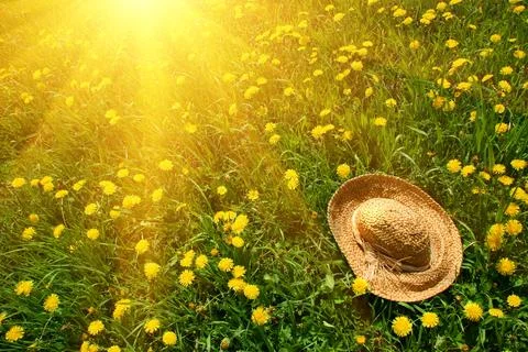 Rays of sun on green grass with straw hat Stock Photos