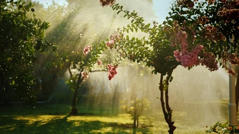 The rays of the sun illuminate a small garden with fruit trees and flowers Stock Footage 91808391