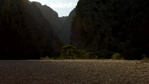 Rays of sun illuminate a tree at morning time in Sa Calobra beach. Video 4K Vidéo 331452453