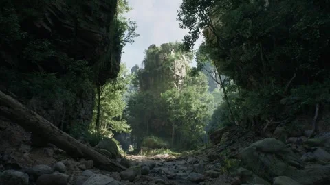 Rays Of Sun Light Shine Through  Jungle Nature View Stock Footage 259741405