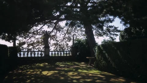 The rays of the sun pass through the branches. Statue of a woman. An old Stock-Footage 263294168