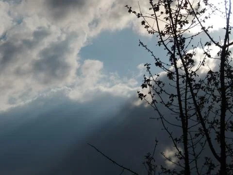 Rays of sun 写真素材