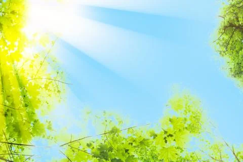 Rays of the sun Foto stock