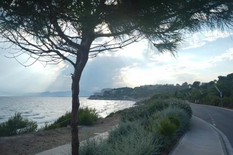 Rays of the sun Stock Photos