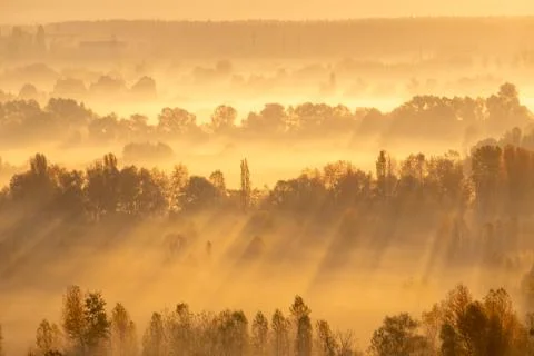 Rays of sun Foto stock