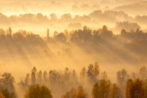 Rays of sun Stock Photos