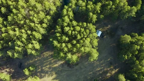 Rays of the sun piercing the forest and falling on the water of flooded quarry 스톡 동영상 165317736