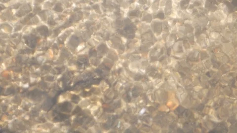 The rays of the sun on the river water and the singing sound of birds Stock Footage 89078211