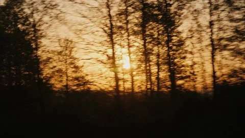 The rays of the sun shine through the trees. View from the window of a traveling Stock Footage 90121524