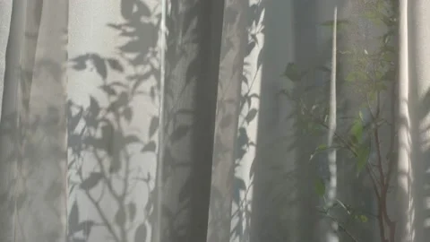 Rays of the sun shine through the white transparent tulle. there are home Stock Footage 162875097