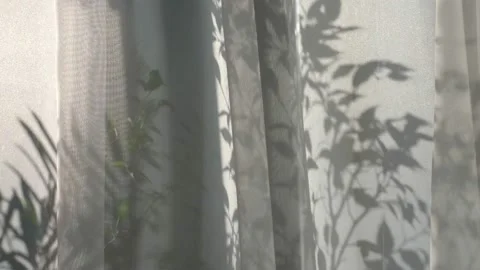 Rays of the sun shine through the white transparent tulle. there are home Stock Footage 163213800