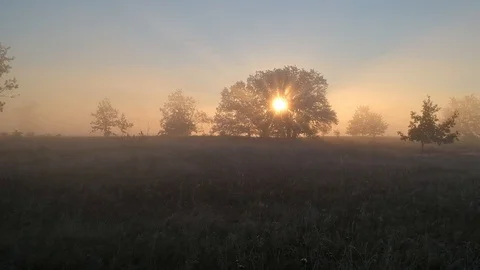 The rays of the sun through the haze Video stock 114356100