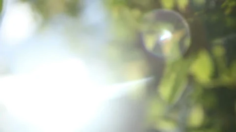 Rays of the sun through the leaves of trees Stock-Footage 36256259