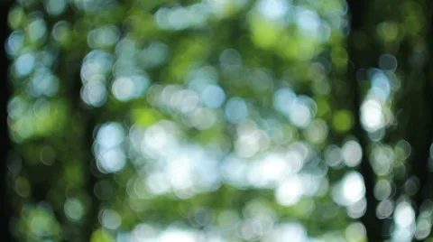 Rays of the sun through the leaves of trees Vídeos de archivo 47840687