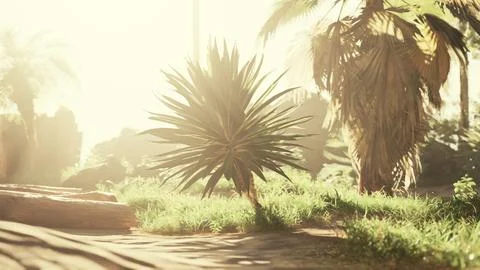 Rays of the sun through palm leaves 스톡 일러스트