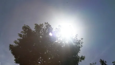 Rays Of The Sun Through A Tree Stock Footage 92025853