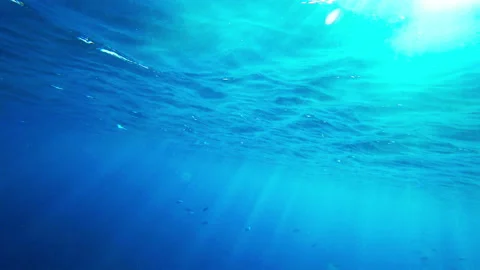 Rays of the sun underwater Vidéo 85774973
