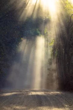 Rays of sunlight coming through the foliage on a dusty road in Australia Stock Photos