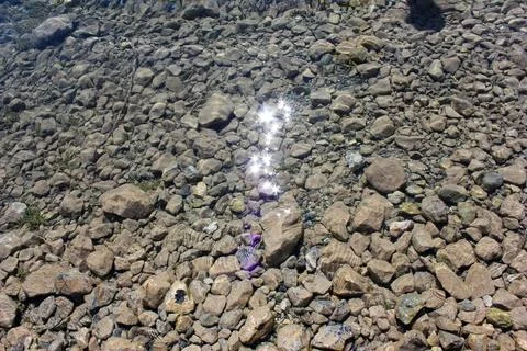 Rays of sunlight create sparkling reflections on clear water over a rocky r.. Stock Photos